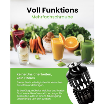 Hurom H-400 Fruit and Vegetable Juicer