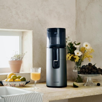 Hurom H-400 Fruit and Vegetable Juicer
