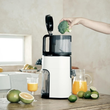 Hurom H-400 Fruit and Vegetable Juicer