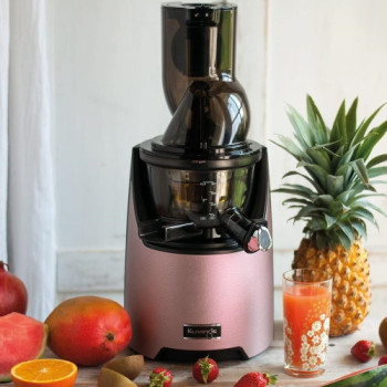 Kuvings EVO820 Evolution Cold Press Juicer