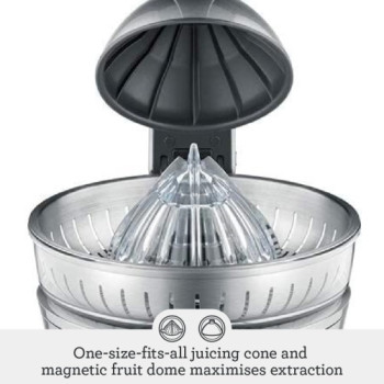 Sage The Citrus Press Tritan Sage The Citrus Press Tritan