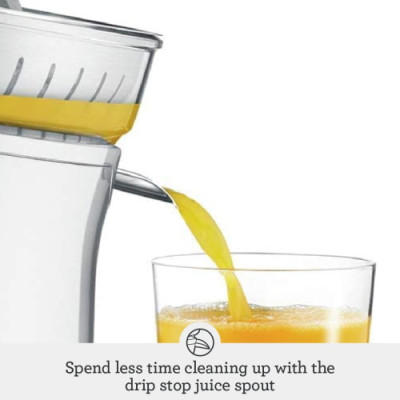 Sage The Citrus Press Tritan