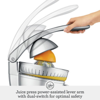 Sage The Citrus Press Tritan Sage The Citrus Press Tritan