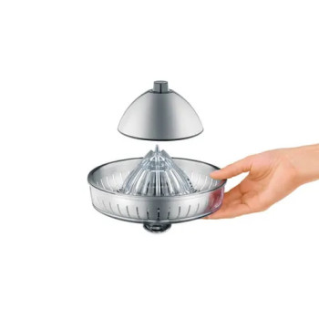 Sage The Citrus Press Tritan Sage The Citrus Press Tritan