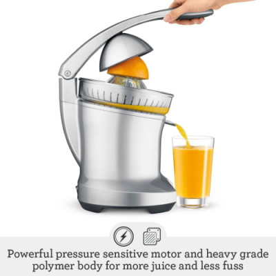 Sage The Citrus Press Tritan