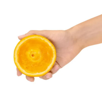 Sage The Citrus Press Tritan Sage The Citrus Press Tritan